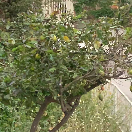 Casa Del Mister Homestay *