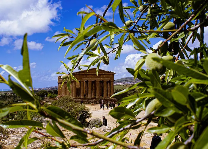 Casa Del Mister Homestay