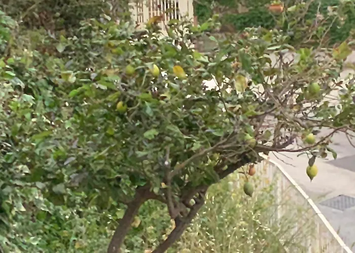 Casa Del Mister Séjour chez l'habitant *